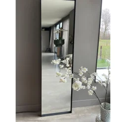 Hot Spiegel Mara 60x225 Spiegels